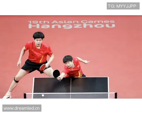 中国乒乓球运动员的成长历程与国际赛场辉煌成就分析